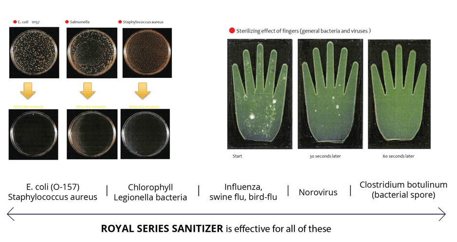 Royal Series Sanitizer Effectiveness Test Lion Holding