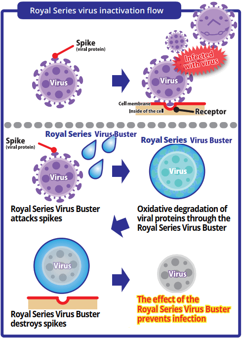 Royal Series Sanitizer virus inactivation flow chart Lion Holding